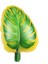 Hawaii Tropical Yaprak Şeklinde Yeşil Sarı Renkli Yaprak Folyo Balon 40 x 52 cm 1 Adet 1
