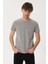 Lee Cooper Twıngos 5 Erkek Pike O Yaka T-Shirt Gri Melanj 3