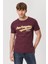 Hardy Erkek O Yaka T-Shirt Mürdüm 2