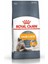 Hair & Skin Hassas Tüylü Kediler Için Mama 2 kg 1