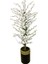 Beyaz Bahar Dalı 200 cm 40X30 Gold Kemerli Siyah Saksı 1