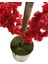 Yapay Ağaç Kırmızı Bahar Dalı 160 cm 25X25 Metal Saksıda 4
