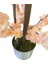 Somon Bahar Dalı 200 cm Yapay Ağaç 30X30 Metal Saksı 4