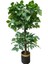 Yapay Ağaç 180 cm 30X30 Gold Kemerli Saksı 1