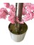 Kırık Pembe Bahar Dalı 180 cm 30X30 Metal Saksı 4
