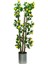 Limon Bambu Saksı 100CM 12X12 Metal Saksı 1