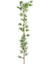 Bambu Çubuk 150 cm 1