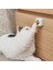 Catnipli Kedi Nanesi Topu Yapıştırmalı 2