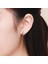 Sterling Silver Ladybug Flower Earrings (Yurt Dışından) 5