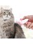 Kedi Köpek Oval Basmalı Tarak 5