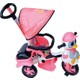  Renk Pembe