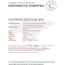 Otonom Coffee Endonezya Sumatra Filtre Kahve - Çekirdek Kahve - 250 gr