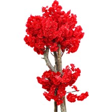 Cihan Çiçekçilik Yapay Ağaç Kırmızı Bahar Dalı 90 cm 12X12 Metal Saksıda