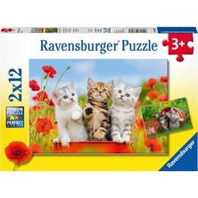 Ravensburger 2X12 Parça Puzzle Yavru Kediler 076260