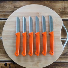 Solingen Turuncu Simli Desenli Tırtıklı Meyve Bıçağı 6'lı