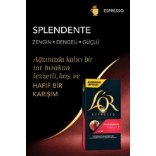 L'OR Splendente Intensity 7 Nespresso Uyumlu Alüminyum Kapsül Kahve Fırsat Paketi 10 Adet x 3 Paket