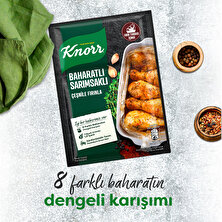 Knorr Tavuk Çeşni Ailesi Baharatlı Sarımsaklı 34 gX3