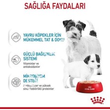 Royal Canin Starter Anne ve Yavru Köpek Konservesi 195 gr