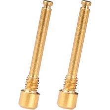 Fiona Bicycle Disk Breke Pad Threaded Pin Inserts Screw For R Hydraulic Disk Caliper-Golden (Yurt Dışından)