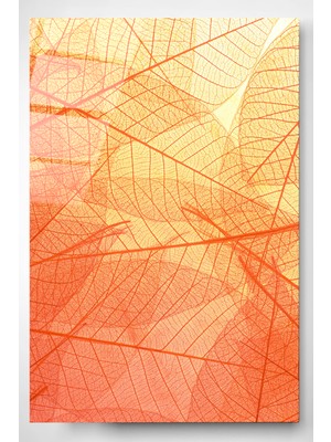 Hinora Turuncu Yaprak Cam Tablo, Dekoratif Cam Tablo
