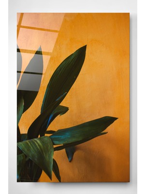 Hinora Digi-Foto Cam Tablo, Dekoratif Cam Tablo