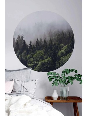 Kt Grup Yuvarlak Manzara Sisli Orman Duvar Sticker