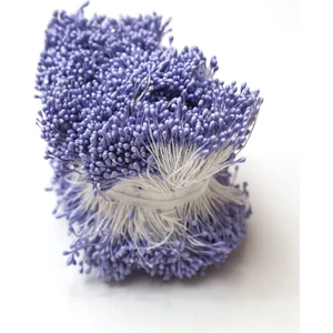 Roco Paper Co. Ince Plastik Tohum - Lila (20'li Bağ)