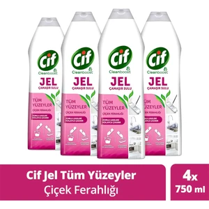 Jel Tüm Yüzeyler İçin Çamaşır Suyu Katkılı Çiçek Ferahlığı 750 ml x4