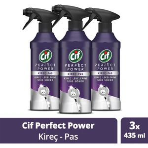 Perfect Power Kireç Ve Pas Sprey Temizleyici 435 ml x3