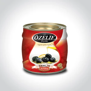 Gonca Zeytin