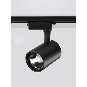 Led Projem 30W LED Ray Spot Siyah