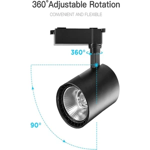 Led Projem 30W LED Ray Spot Siyah