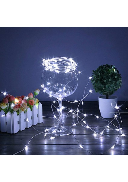 Pilli 5 metre Dekoratif Peri Led Beyaz Aydınlatma Süsleme Lambası (3791)