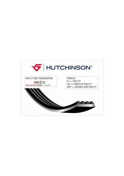 Hutchınson 6PK1636-1636 K 6 Kanallı Kayış Audı-Escort 1.4 1.6 90-00 -Tourneo 2.5d 8V 94-00 -Transit