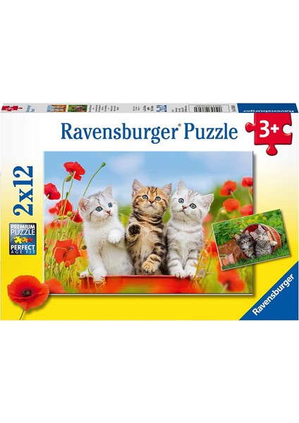 2X12 Parça Puzzle Yavru Kediler 076260