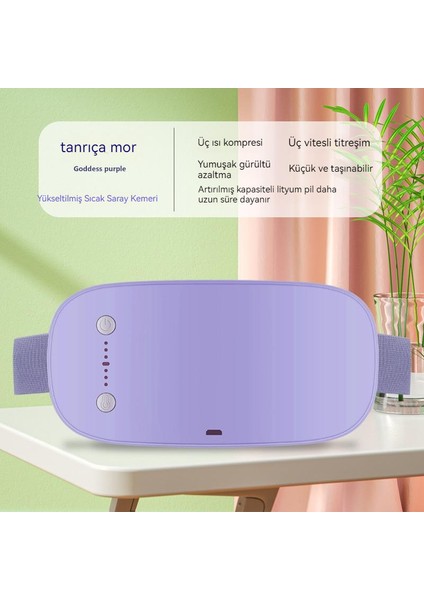 Warm Palace Belt Palace Soğuk Isıtma Elektrikli Masaj Ürünleri (Yurt Dışından) fiyatları