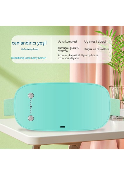Warm Palace Belt Palace Soğuk Isıtma Elektrikli Masaj Ürünleri (Yurt Dışından)