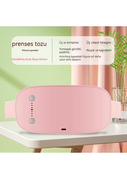 Warm Palace Belt Palace Soğuk Isıtma Elektrikli Masaj Ürünleri (Yurt Dışından)