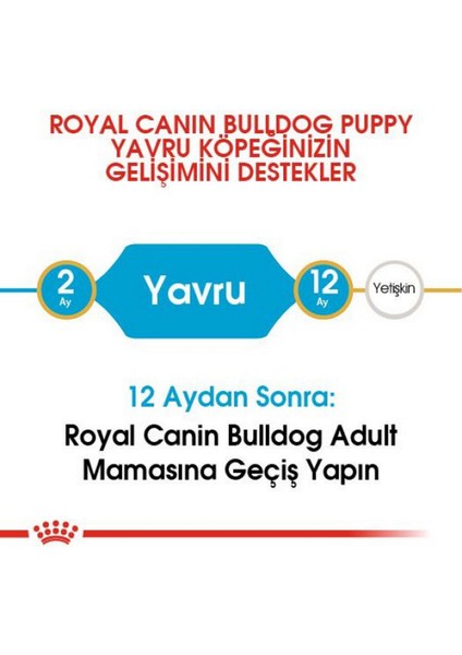 French Bulldog Junior Köpek Maması - 3 kg modelleri