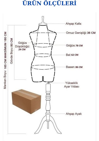 2 Adet Pantolon Giyebilen 36 Beden Süngerli Terzi Mankeni Prova Mankeni Vitrin Mankeni fırsatları