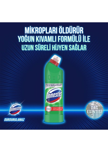 Yoğun Çamaşır Suyu Pembe Güç 750 ml x2 + Domestos Çamaşır Suyu Dağ Esintisi 750 ml x2