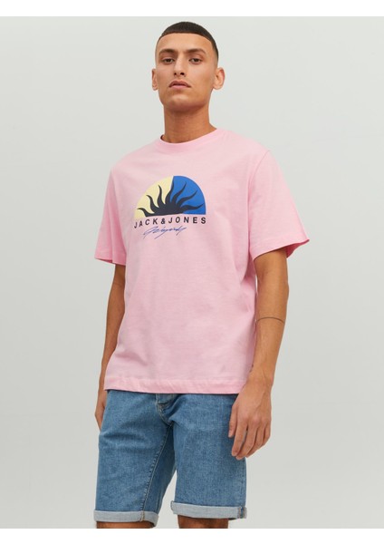 Jortulum Logo Tee Ss Crew Neck Ln Pembe Erkek T-shirt 12234214-Prism
