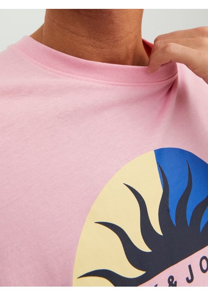 Jortulum Logo Tee Ss Crew Neck Ln Pembe Erkek T-shirt 12234214-Prism fırsatları