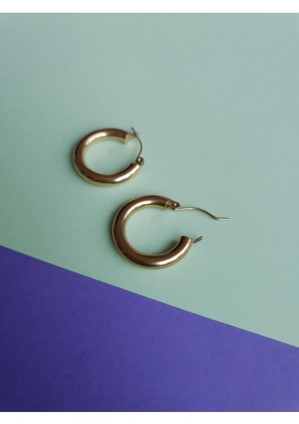 Rose Gold Kaplama Çelik Halka Küpe fiyatları