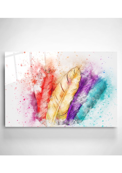 Renkli Kuş Tüyü Cam Tablo, Dekoratif Cam Tablo