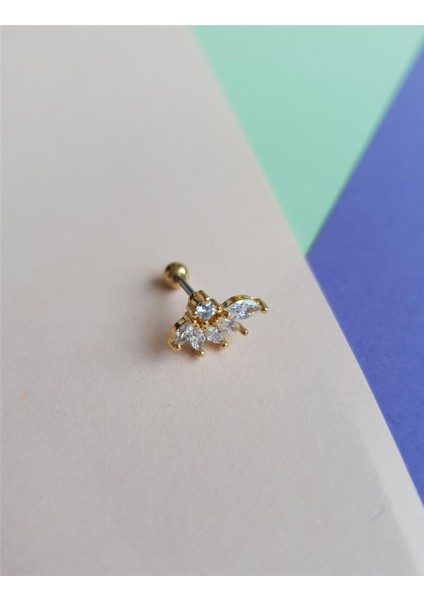 Yaprak Tragus