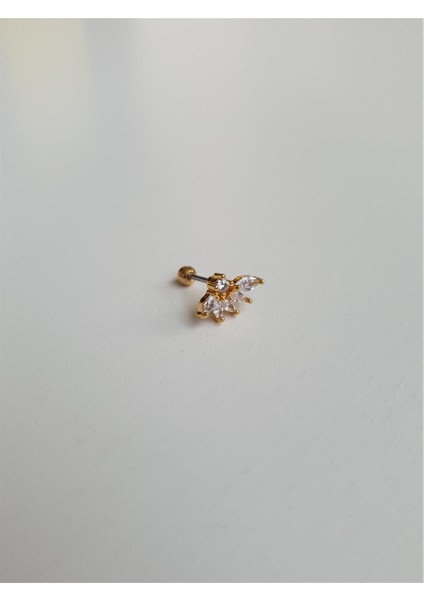 Yaprak Tragus