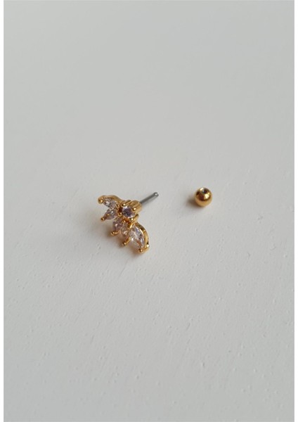 Yaprak Tragus