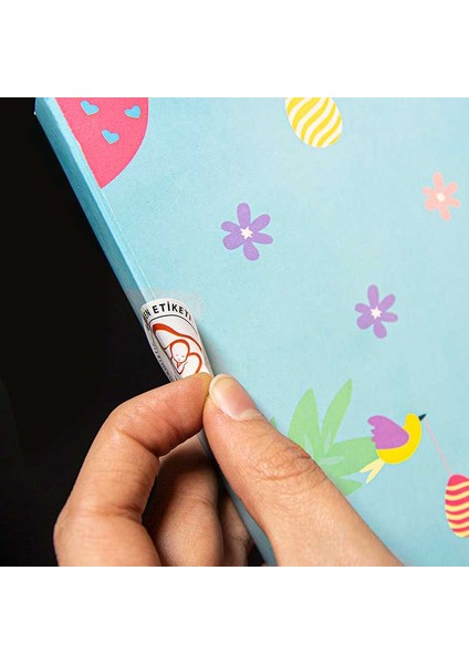 Hamilelik ve Anne Bebek Günlüğü - Anı Defteri fiyatları