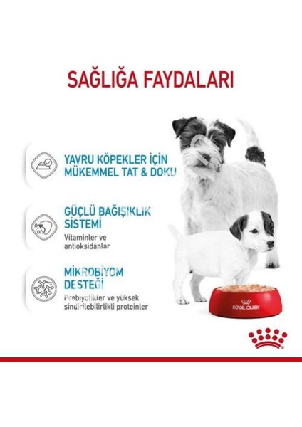 Royal Canin Starter Anne ve Yavru Köpek Konservesi 195 gr